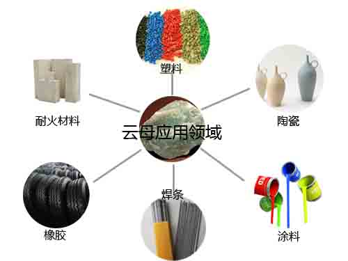 ��ĸ��(y��ng)����