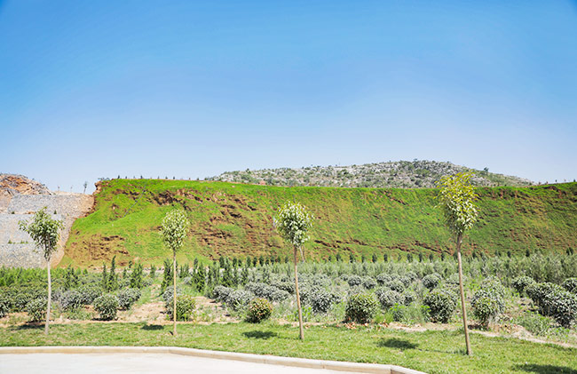 ����ʡ����Ќ�(d��o)����Vɽ���B(t��i)�ޏ�(f��)���h(hu��n)��������r